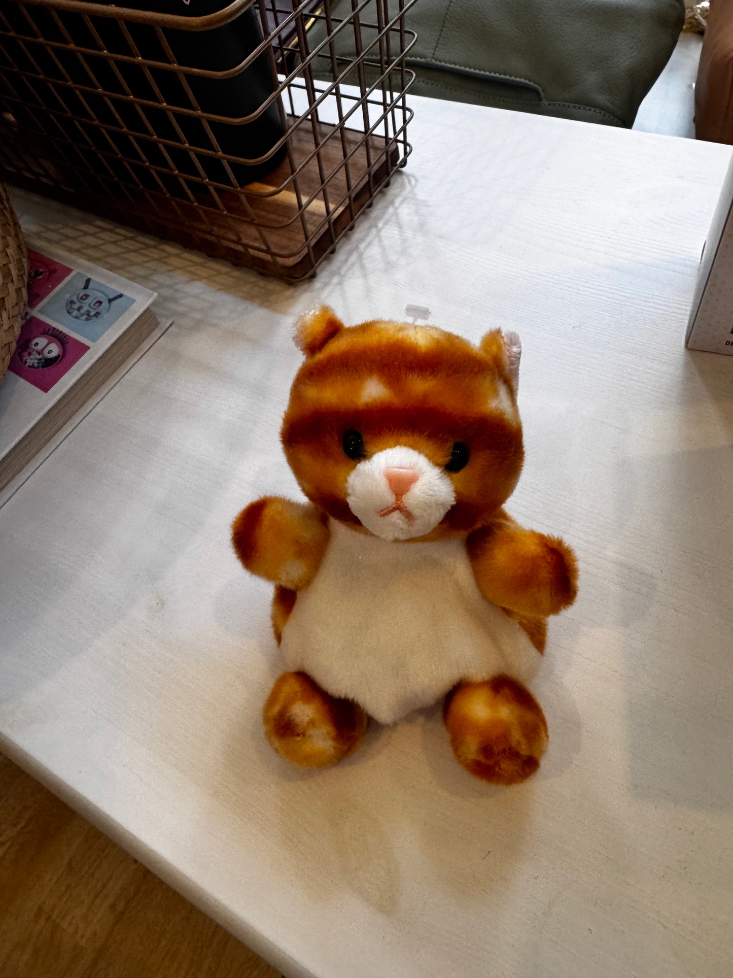Orange Cat Palm Pal