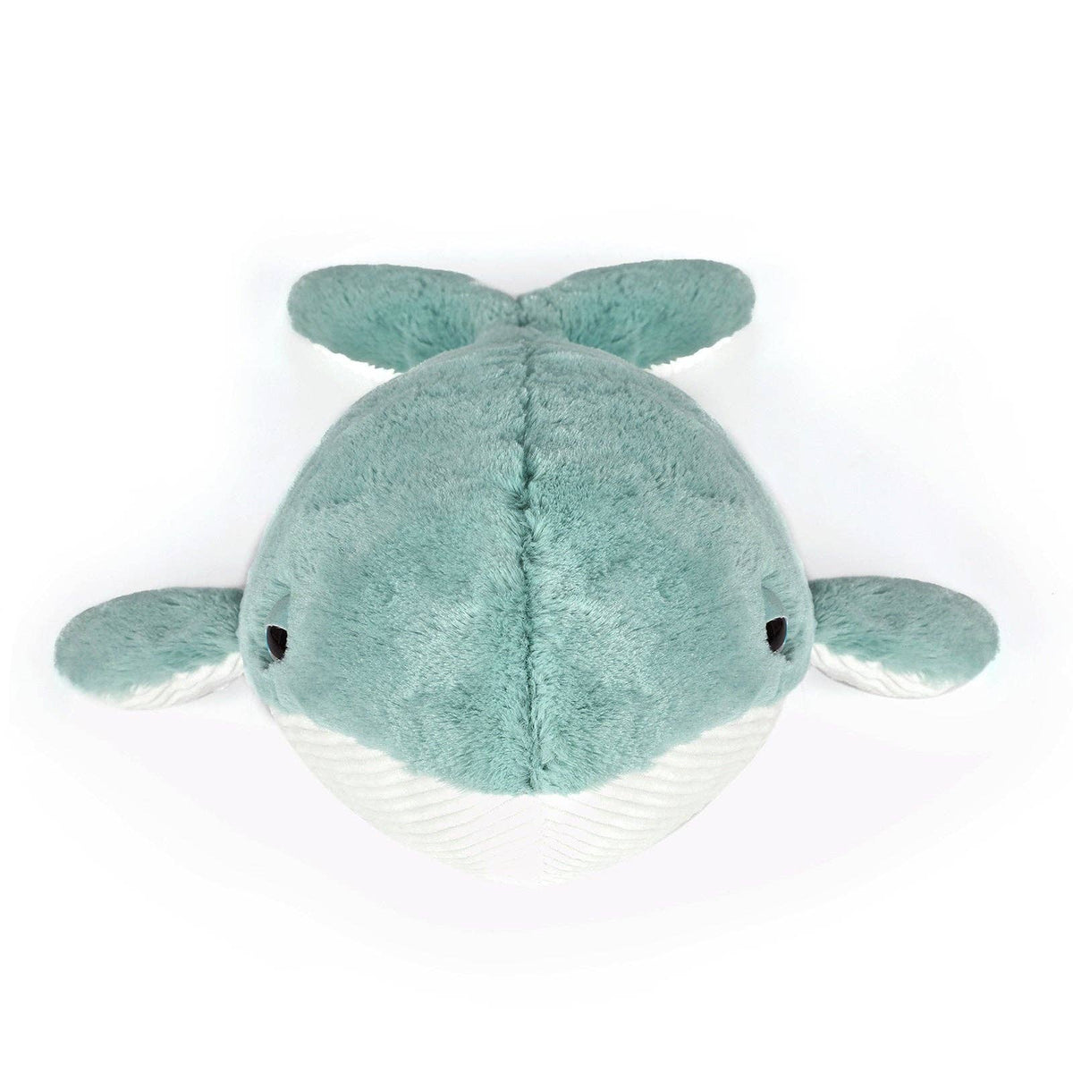 Whale