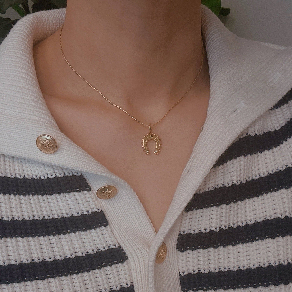 Horseshoe Necklace