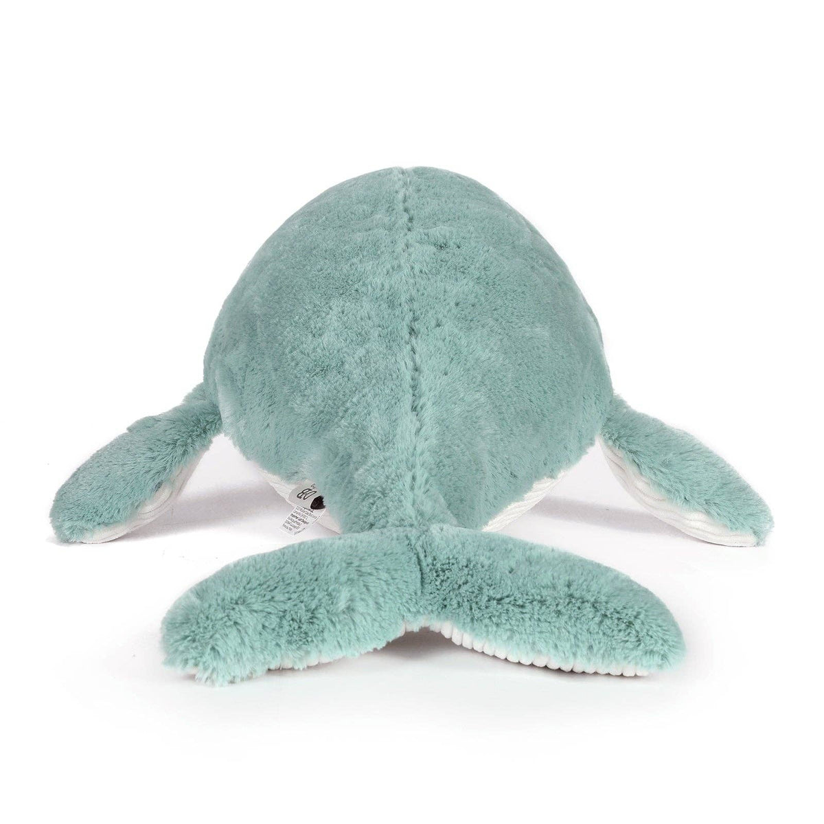 Whale