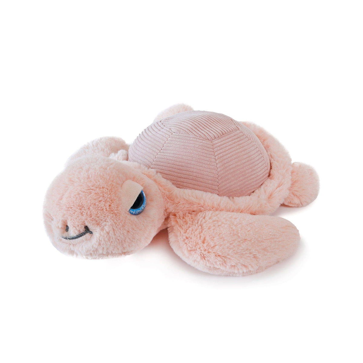 Pink Turtle