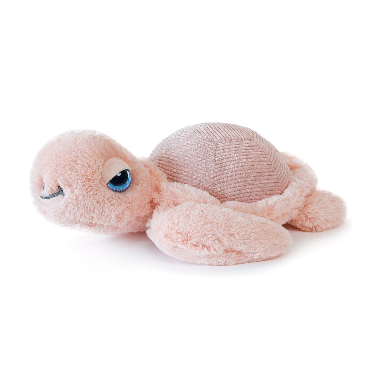 Pink Turtle