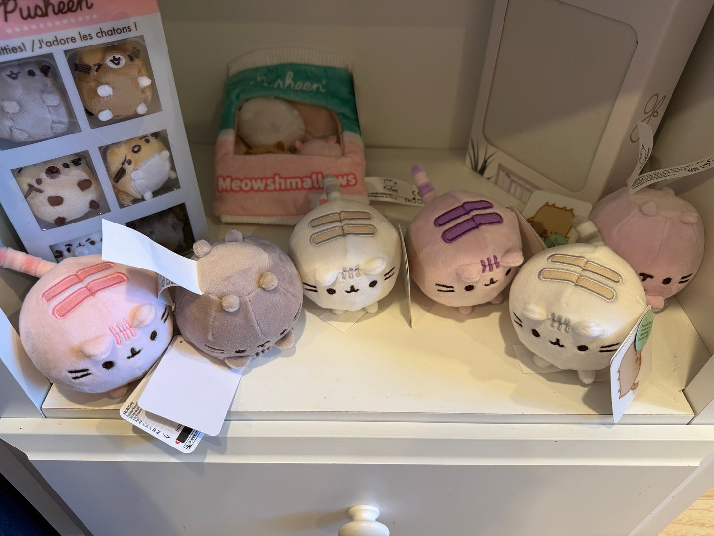 Pusheen Mini