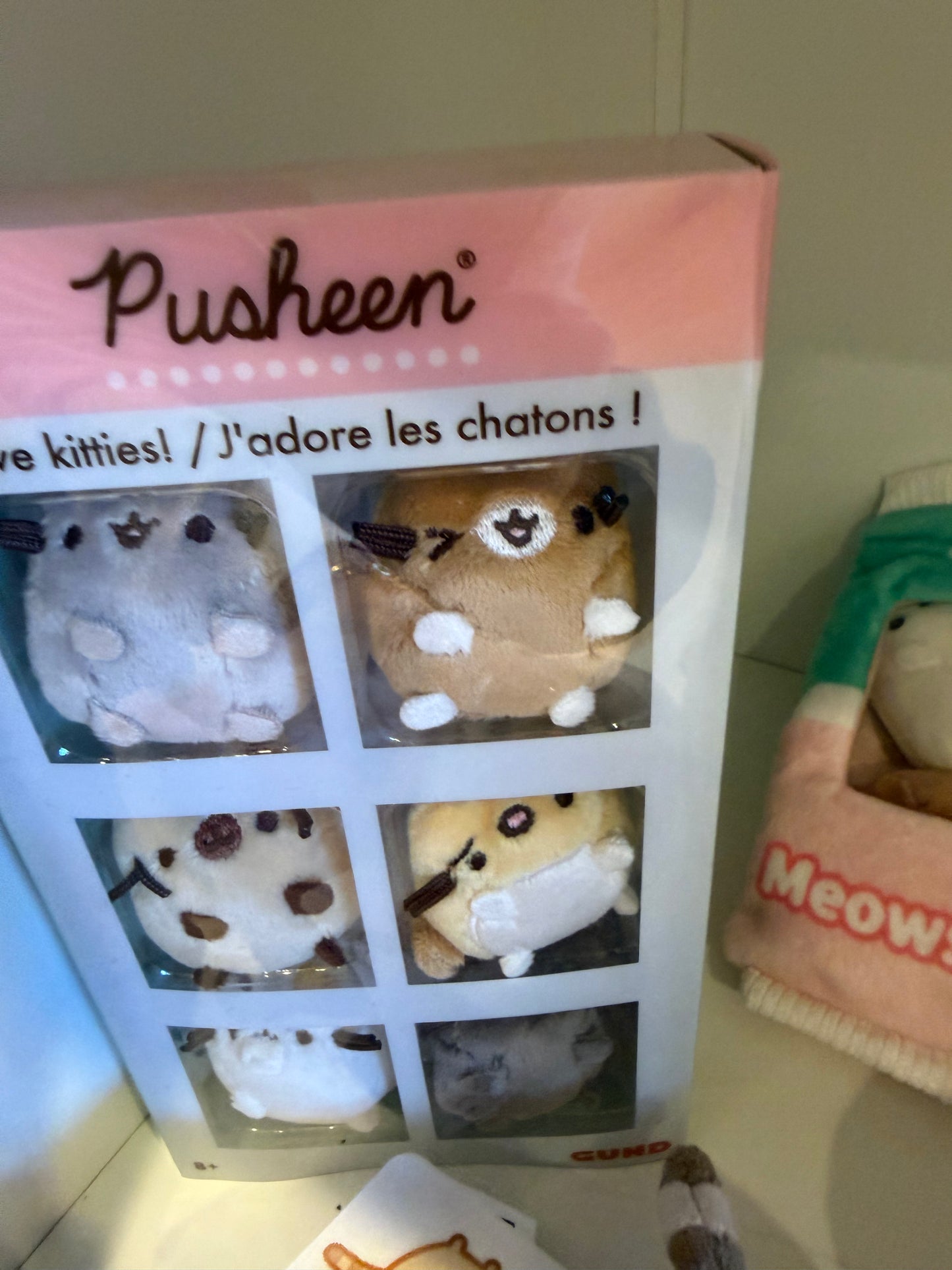 Pusheen Mini Kitty
