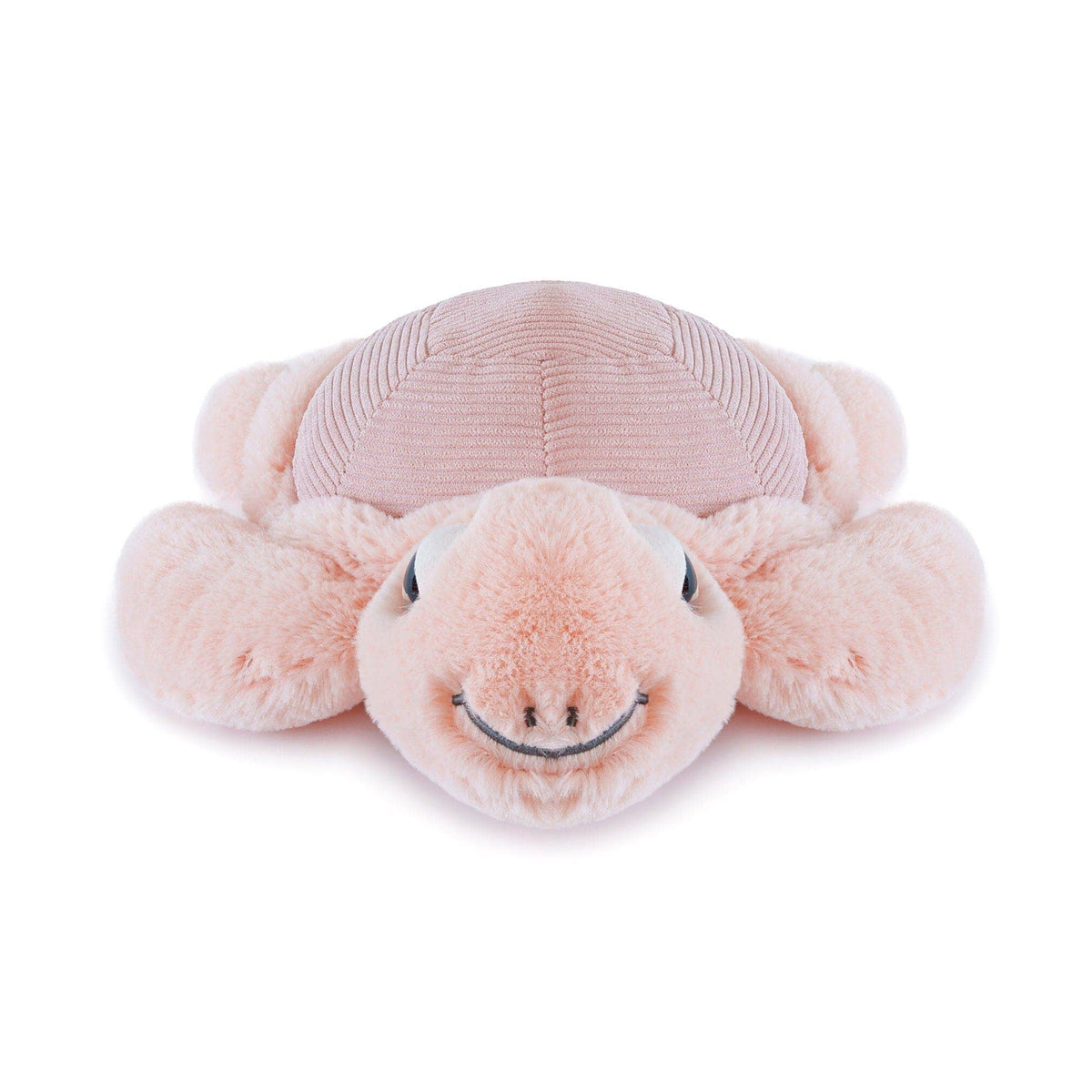 Pink Turtle